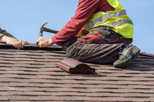 Gutter Installation and Roofing in Rainbow Park, FL