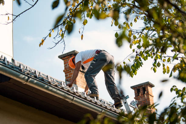 Best Local Roofing Companies  in Rainbow Park, FL