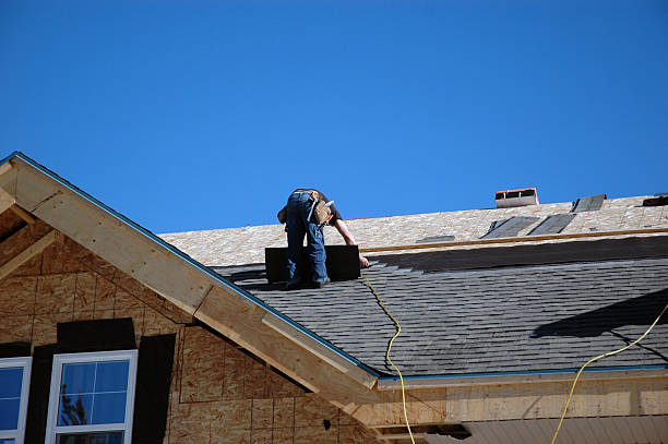 Best Storm Damage Roof Repair  in Rainbow Park, FL