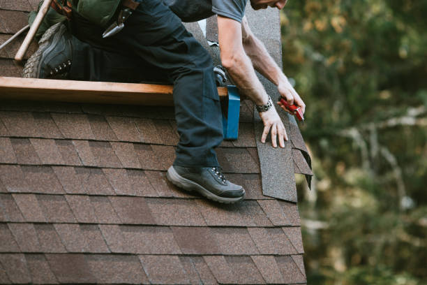 Best Roof Gutter Cleaning  in Rainbow Park, FL